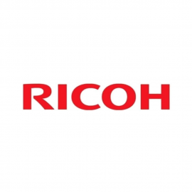 Аксессуары к печатной технике Ricoh Наклейка с названием бренда Ricoh тип S9 (409213)