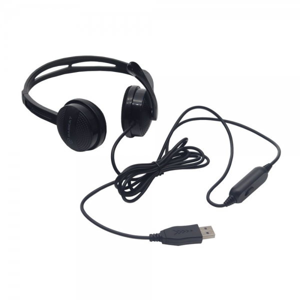 Наушники Raskat Standart 4U (50мм, 32Ом, 105Гц, 20-20000Гц, USB 2м)