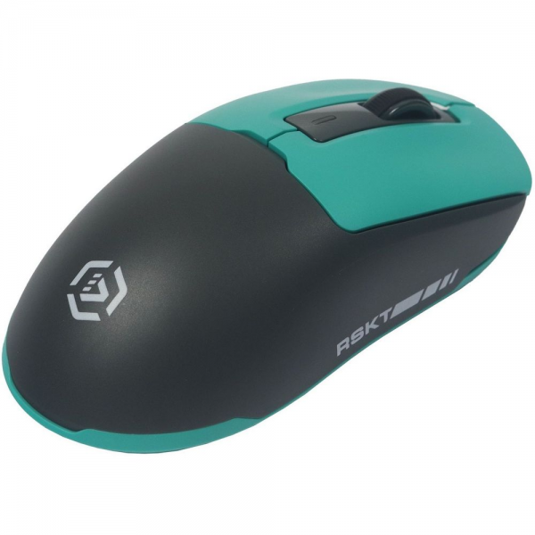 Мышь Raskat MG027TR