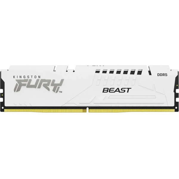 Модуль памяти Kingston KF552C40BW-16
