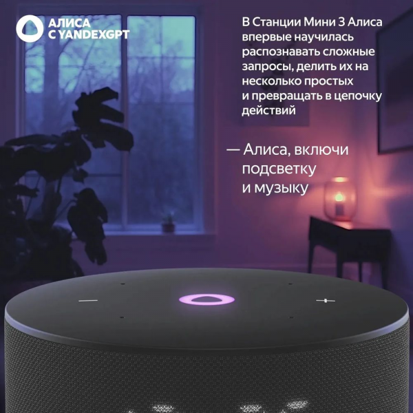 Умная колонка  Яндекс Станция Мини 3, модель YNDX-00027 (чёрный)