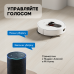 Робот-пылесос Roidmi Bad Pack Robot Vacuum and Mop Cleaner EVE ROOK S