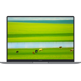 Ноутбук HONOR MagicBook X14 Plus Intel Core 5 220H/16Gb (soldered D4)/SSD1Tb/UMA/14