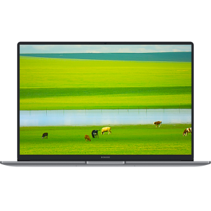Ноутбук HONOR MagicBook X14 Plus Intel Core 5 220H/16Gb (soldered D4)/SSD1Tb/UMA/14