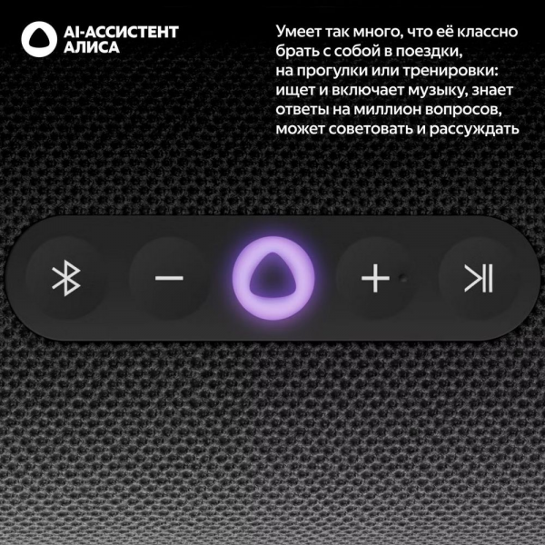 Портативная умная колонка Яндекс Станция Стрит с Алисой, 30 Вт, YNDX-00030BLK , чёрный