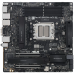 Материнская плата ASUS PRO WS B850M-ACE SE AM5 mATX 4xDDR5 2xPCIEx16 2xM.2 2хUSB-C DP HDMI VGA 10GLAN 2.5GLAN