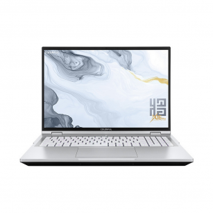 Ноутбук Colorful X16 Pro-HD76A3201TS-W-C2A Intel Core i7-14650HX/32Gb (2*16 D5)/SSD1Tb/RTX5060 (115W) 8Gb/16