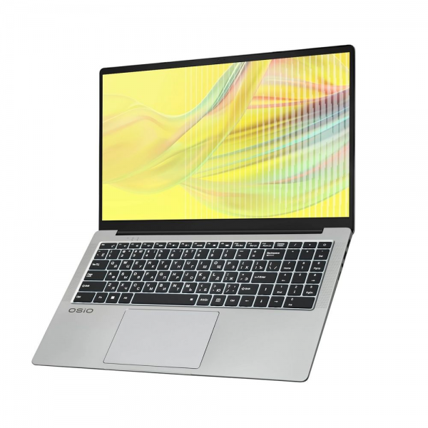 Ноутбук OSIO FocusLine F160a-005 AMD Ryzen 5 5500U/16Gb (1*16D4)/SSD512Gb/UMA/16.1