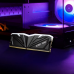 Модуль памяти 32GB XPG DDR5 5600 DIMM Armax RGB AX5U5600C4616G-DTAMRBK Non-ECC, CL46-45-45, 1.1V, Heat Shield, Kit (2x16GB), RTL