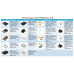 Одноплатный компьютер Raspberry Pi Raspberry Pi 4 Model B (RA608) Retail, 8GB RAM, Broadcom BCM2711 Quad core Cortex-A72 (ARM v8) 64-bit SoC @ 1.5GHz CPU, WiFi, Bluetooth, 40-pin GPIO, 2x USB 3.0, 2xUSB 2.0,2x micro-HDMI, Разъем питания USB-C (RASP4888/RP